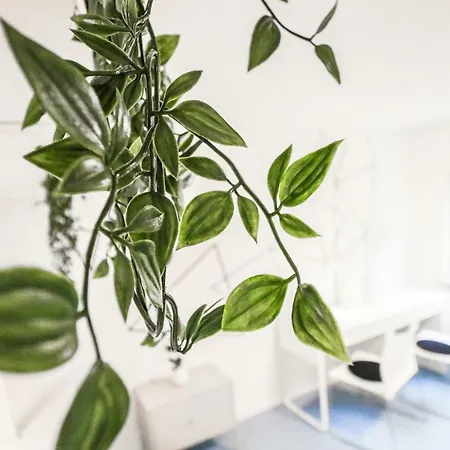 Apartment Designer